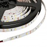 Tira LED Monocolor HQ SMD3528, DC12V, 5m (60 Led/m), 24W, IP20