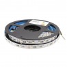 Tira LED SAMSUNG SMD5050, RGB+CCT, DC24V, 5m (60Led/m 5 en 1) - IP20