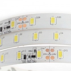 Tira LED Monocolor SMD5630, DC24V CC, 5m (70 Led/m) - Sensor Temperatura, 75W, IP65