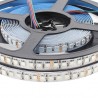 Tira LED EPISTAR SMD5050, RGB, DC24V, 5m (120Led/m) - IP20