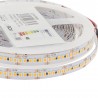 Tira LED Monocolor SMD2835, DC24V, 5m (240Led/m), 125W, IP20