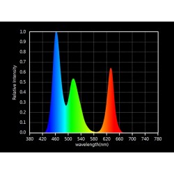 Tira LED SMD3535, ChipLed Samsung, RGB, DC24V, 5m (120Led/m) - IP67