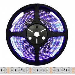 Tira LED UV Ultravioleta SMD5050, DC24V, 5m (120 Led/m) - IP20