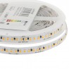 Tira LED Monocolor SMD2835, DC24V, 5m (180Led/m), 100W, IP20