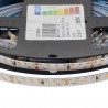Tira LED Monocolor SMD2022, ChipLed Samsung, DC24V, 5m (210Led/m) PCB 5mm, 40W, IP20