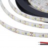Tira LED Monocolor HQ SMD3528, DC12V, 5m (60 Led/m), 24W, IP65