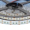 Tira LED Monocolor EPISTAR SMD3014, DC24V, 5m (240 Led/m),120W, IP65