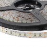 Tira LED Monocolor EPISTAR SMD3014, DC24V, 5m (240 Led/m),120W, IP65