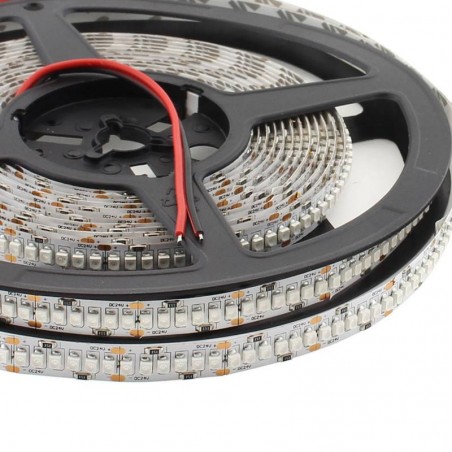 Tira LED UV Ultravioleta SMD3528, DC24V, 5m (240 Led/m) - IP20