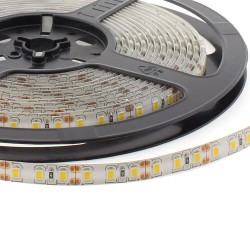 Tira LED Monocolor SMD2835, DC24V, 5m (120Led/m), 80W, IP65
