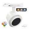 Foco carril Monofásico ROMA, 40W-34W, blanco, regulable 24º-60º, UGR13, CCT