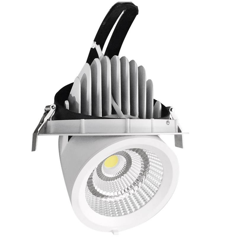 Downlight Led PRICKLUX TUBE 38W