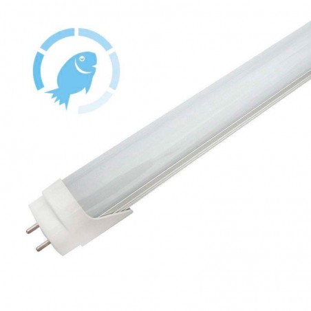 Tubo LED T8, 9W, 60cm, Pescadería