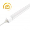 Tubo LED DC12V, IP65, 22W, 150cm, Quesos y fiambres